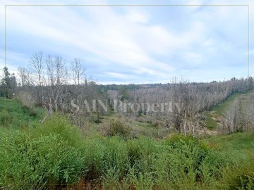 Imagen 7