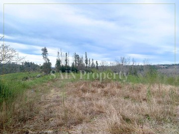 Imagen 6