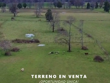 Venta / Parcela / Valdivia