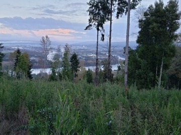 Venta / Parcela / Valdivia