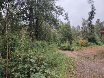 Venta / Parcela / Valdivia