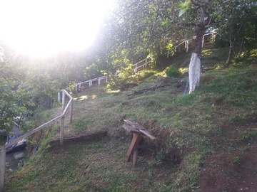 Imagen 6