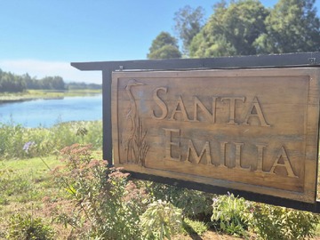 Venta / Parcela / Valdivia