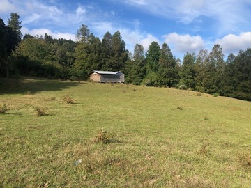Venta / Parcela / Valdivia