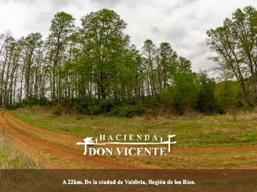 Venta / Parcela / Valdivia