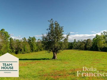 Venta / Parcela / Valdivia