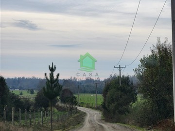 Imagen 7