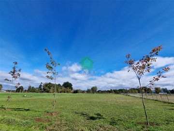 Venta / Parcela / Valdivia