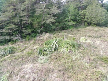 Imagen 9
