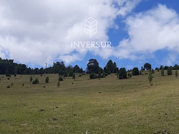 Venta / Parcela / Valdivia