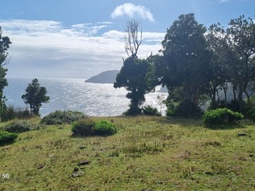 Venta / Parcela / Valdivia