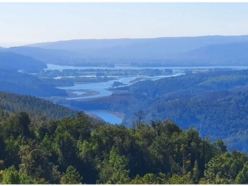 Venta / Parcela / Valdivia