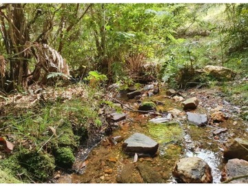 terreno venta valdivia recursos naturales
