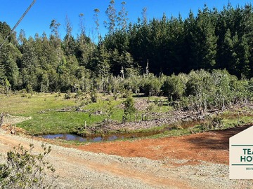 Venta / Parcela / Valdivia