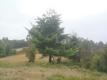 Imagen 8