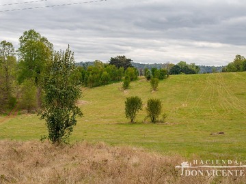Venta / Parcela / Valdivia