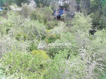 Imagen 20