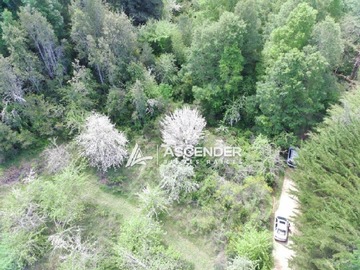 Imagen 12