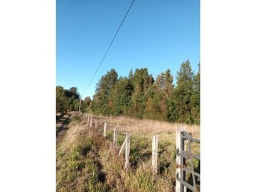 Venta / Parcela / Valdivia