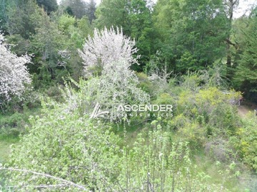 Imagen 22