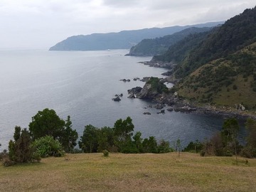 Imagen 4