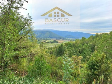 Venta / Parcela / Valdivia