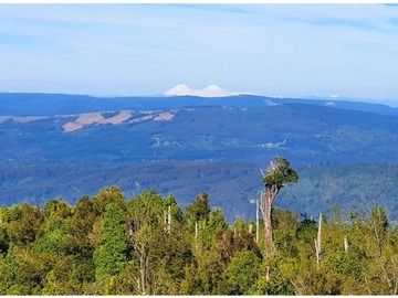 terreno venta valdiviaentorno tranquilo