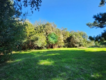 Venta / Parcela / Valdivia