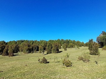 Venta / Parcela / Valdivia