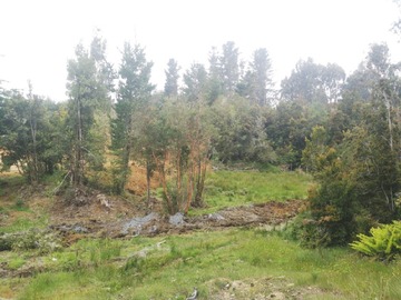 Imagen 11