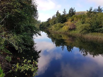 Venta / Parcela / Valdivia