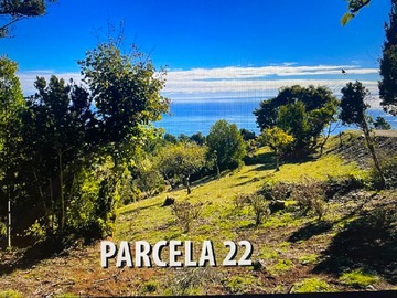 Venta / Parcela / Valdivia