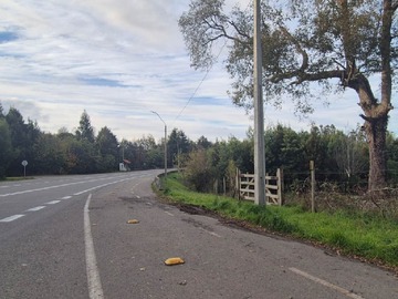 Venta / Parcela / Valdivia