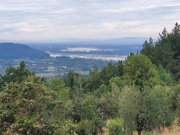 Venta / Parcela / Valdivia