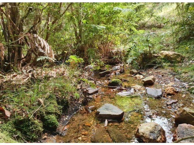terreno venta valdivia recursos naturales