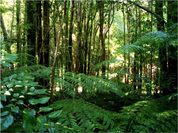 terreno venta valdivia atractivos naturales