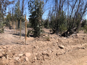 Inicio parcela de sur a norte