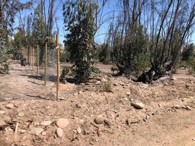 Inicio parcela de sur a norte