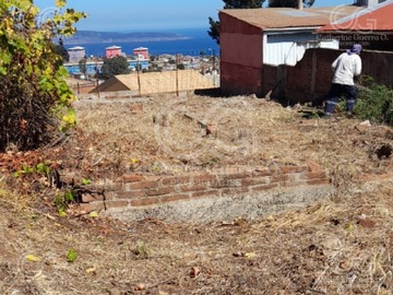 Imagen 13