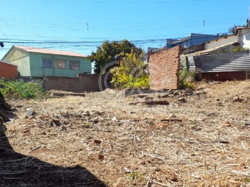 Imagen 4