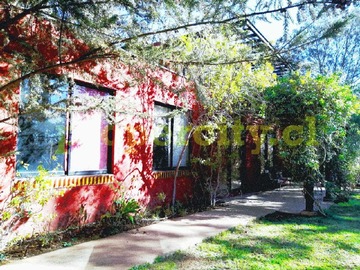 Imagen 16