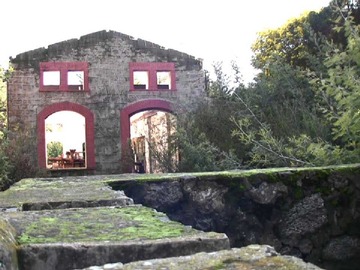Imagen 9
