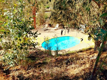 Imagen 18