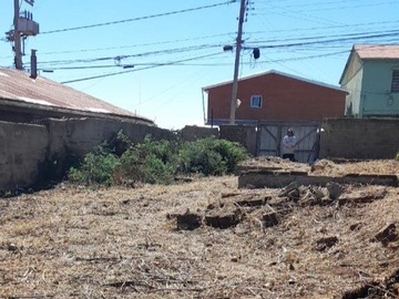 Imagen 17