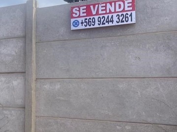 Imagen 16