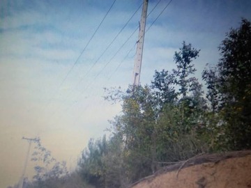 Imagen 11
