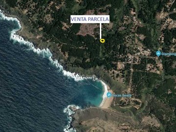 Imagen 6