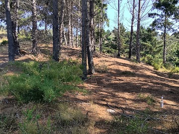 Venta / Parcela / Valparaíso