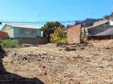 Imagen 18