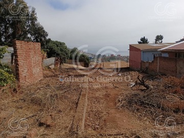 Imagen 6